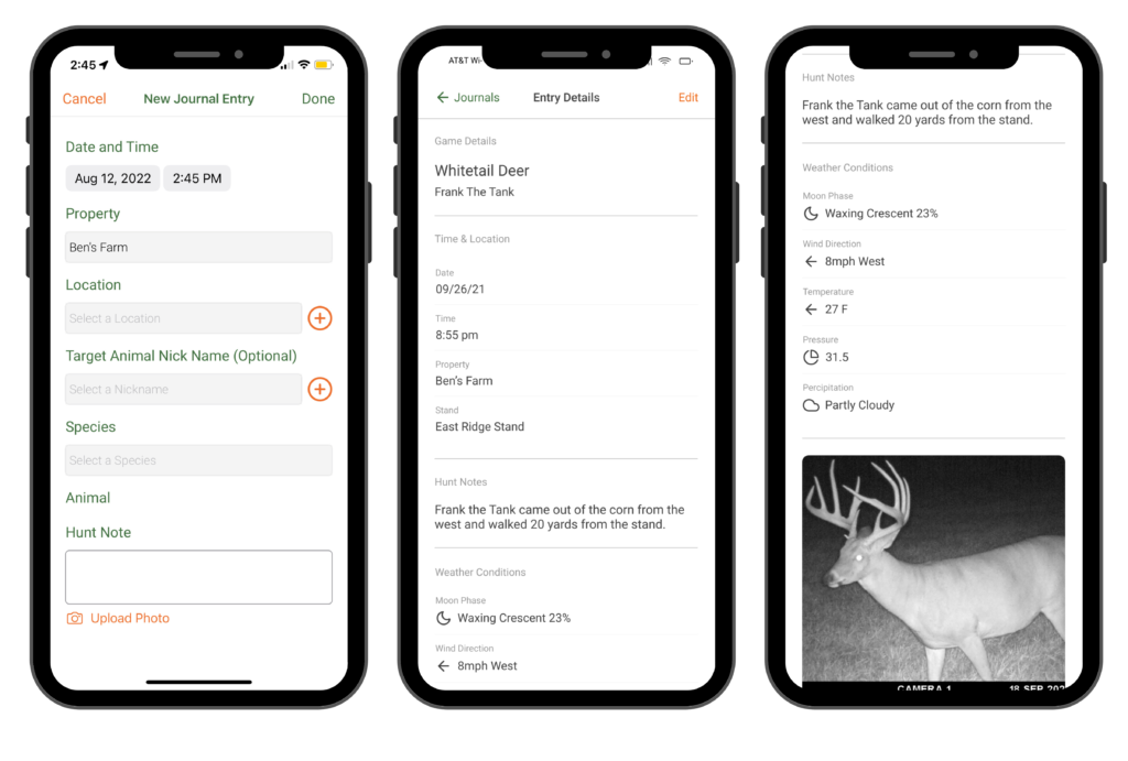 Journal entry example displayed on the mobile app